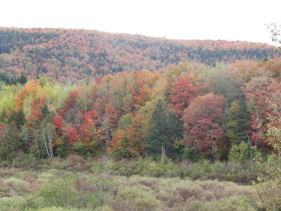 Indian Summer, wunderschön