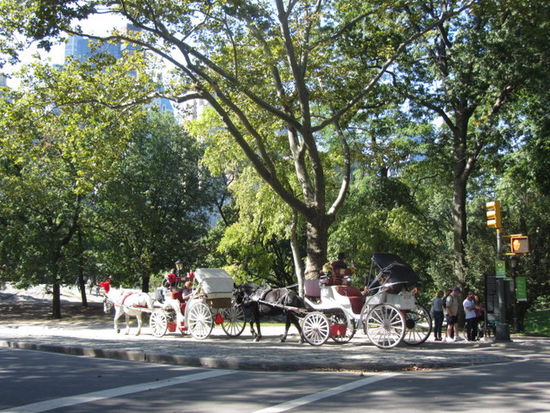 Central Park