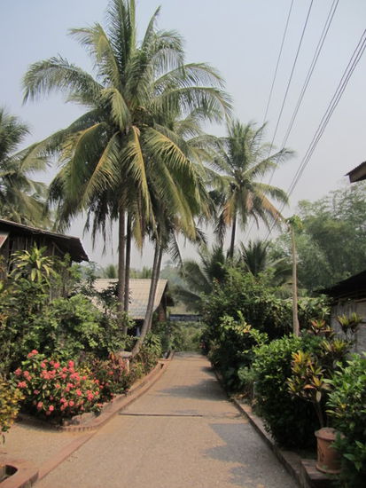 Eindrücke aus Luang Prabang