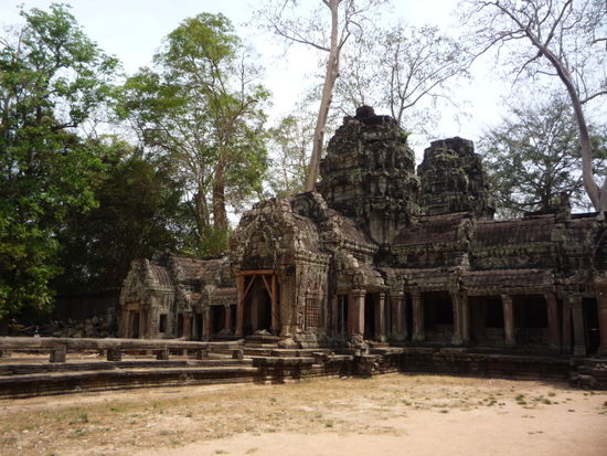 Ta Prohm-Dschungeltempel