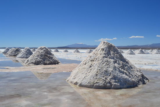 Die Salzmenge des Salar de Uyuni wird auf ungefähr zehn Milliarden Tonnen geschätzt. Jährlich werden davon etwa 25.000 Tonnen abgebaut.
Der See gilt als eines der weltweit größten Lithiumvorkommen.