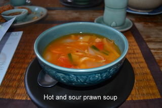 Süss-sauere Hähnchensuppe... und vieles mehr!