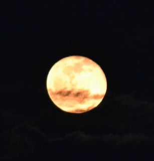 Der 1. Abend ... Traumhafter Mond