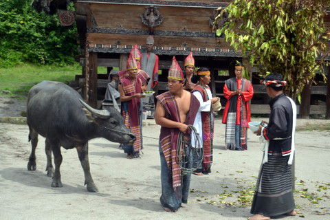 Die Batak sind ein urmalaisches Volk und hatten ihren Ursprung im nördlichen Thailand und Myanmar von wo sie von wandernden Mongolen und Siamesen vertrieben wurden. Als sie auf Sumatra ankamen, errichteten sie ihre erste Siedlung rund um den Donau Toba.
Sie zeigen in ihren Tänzen ihre Geschichte, ihre Kultur ... ihr Leben.