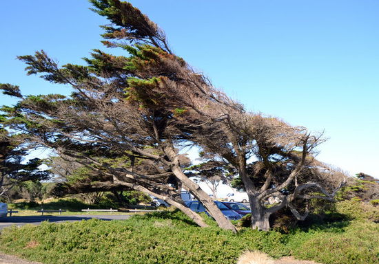 Sieht so aus als ob es hier ganz schön stürmen kann .