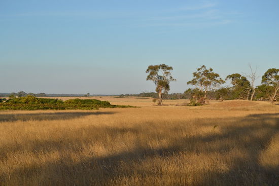Das schönste 'Nachtlager' jenseits des Äquators 
Irgendwo in the middle of nowhere ... wo Känguru und Hase sich gute Nacht sagen!