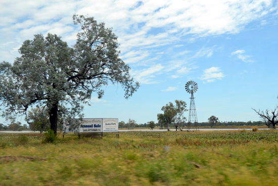 Das Windrad: Gehört noch nach wie vor zu Australien's Landschaft