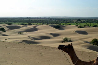 Wüste Thar