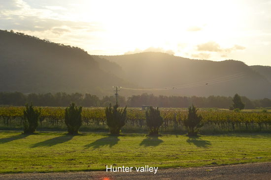 Hunter Valley ist ein kleines Weinanbaugebiet aber bekannt für seine guten Weine ... wir haben sie getestet ... sie sind GUT!!!