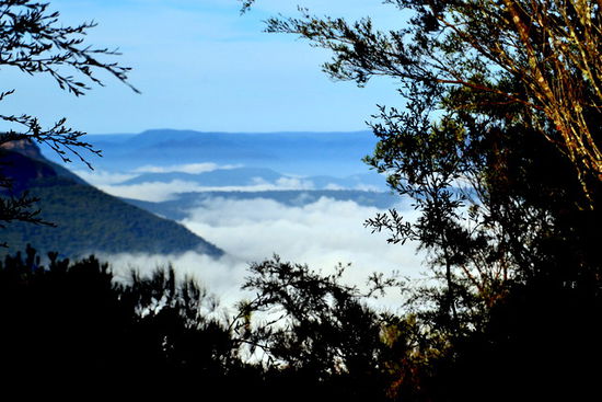 Ein faszinierender Anblick: Früh morgens, als die Schlucht noch im Nebel lag