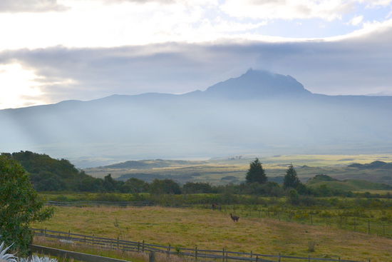 Am nächsten Morgen ging es dann Richtung Cotopaxi