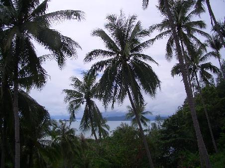 Ko Samui zur Regenzeit...