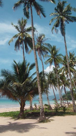Der Strand von Sabang - die Aussicht beim Mittagessen 