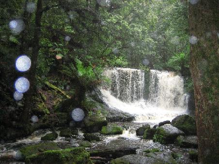 Nochmal der Mount Field Nationalpark, die Russel Wasserfaelle.