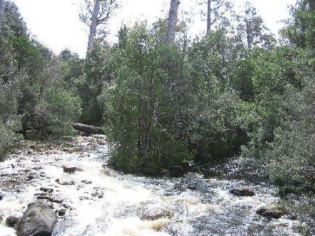 Fluss am Lake St. Claire.