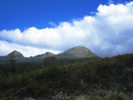 Irgendwo in Tassie, wie man vielleicht sieht aus dem Bus fotografiert.