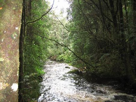 An den Nelson Wasserfaellen.