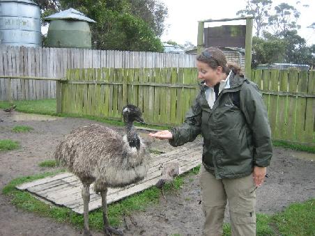 Ich beim fuettern eines Emus, welches allerdings nicht gerade sorgsam beim picken der Koerner auf meiner Hand vorging.