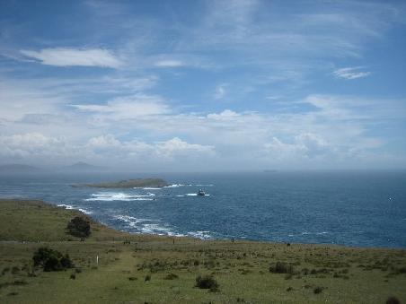 Nochmal an den Fossill Cliffs.