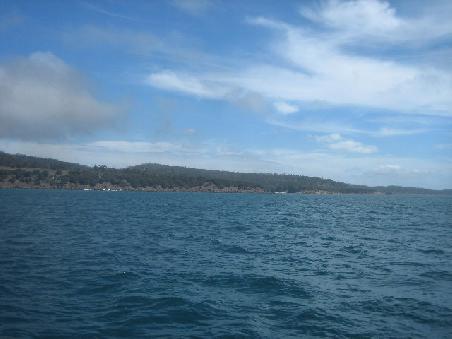 Maria Island vom Schiff aus fotografiert.