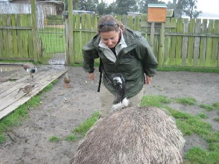 Eine schimpfende Kerstin mit einem Emu.