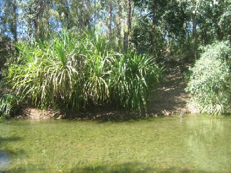 Gregori River.