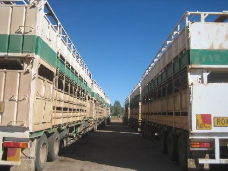 Road Trains, das sind lange LKW's die bis zu 5 Anhaenger haben.
