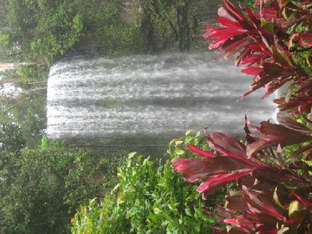 Millaa Millaa Falls.