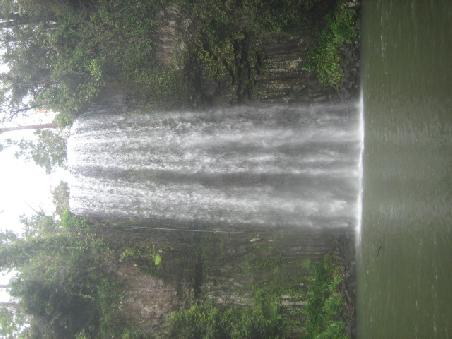 Millaa Millaa Falls.