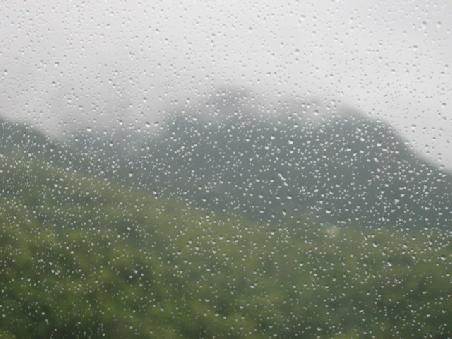 Regen im Regenwald.