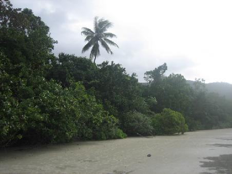 Myall Beach.