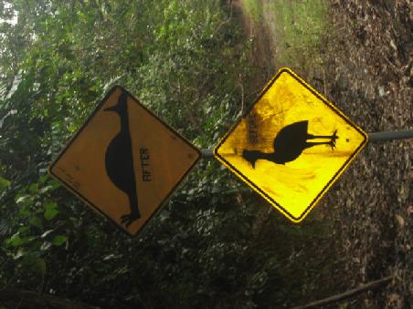 Witziges Roadsign.