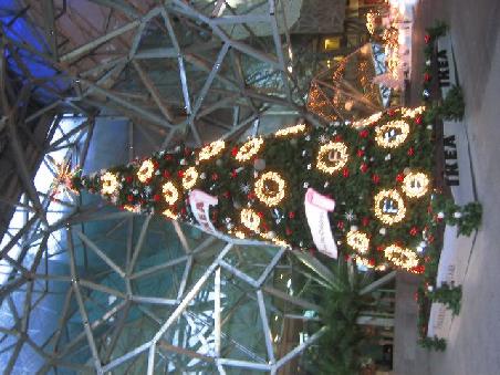 Hier noch ein Weihnachtsbaum.