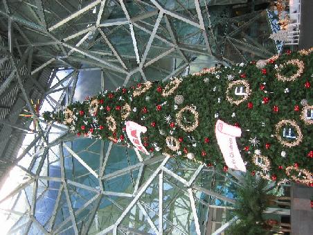 Hier der Weihnachtsbaum mit mehr Tageslicht.