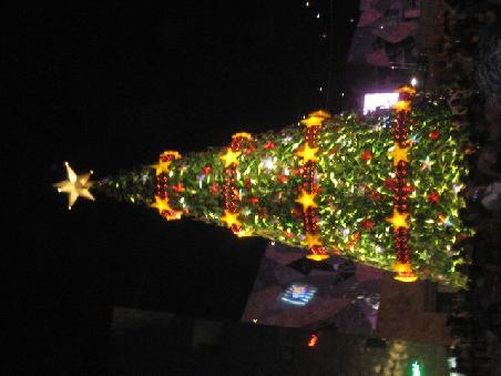 Weihnachtsbaum am Federation Square bei Dunkelheit.