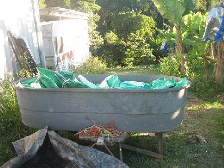 Hier drin werden die Bananen gewaschen und auch die Saecke fuer die Bananen gewaschen.