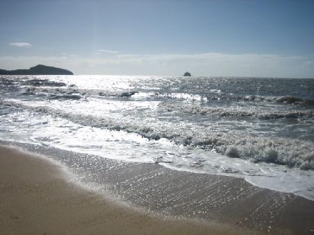 Palm Cove.