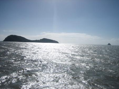 Palm Cove.