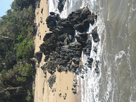 Palm Cove.