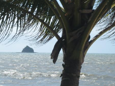 Palm Cove.