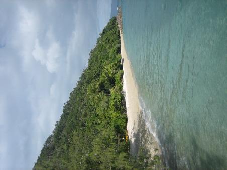 Beach auf Fitzroy Island. Dazu muss ich auch noch sagen sehr viele Stellen mit Sand auf Fitzroy Island gibt es nicht, Grossteile des Strandes bestehen aus abgestorbenen Korallen, die an den Strand gespuelt werden.