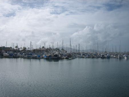 Hafen in Airlie Beach.