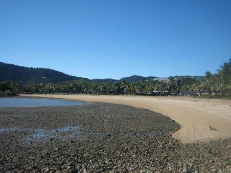 Strand in Airlie Beach bei Ebbe.