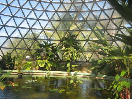 Botanischer Garten Mount Coot-tha.