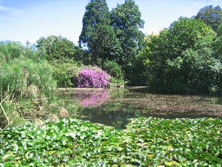 Botanischer Garten.