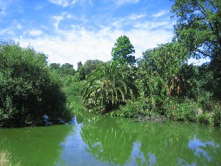 Und noch ein Teich im Botanischen Garten.