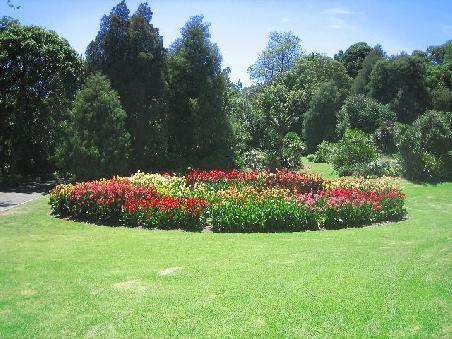 Blumenbeet im Botanischen Garten.