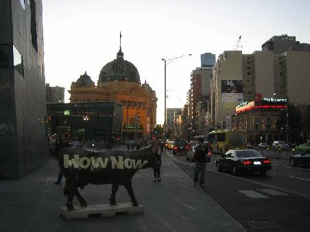 Eine weitere Kuh im Hintergrund mit Flinders Street Station.