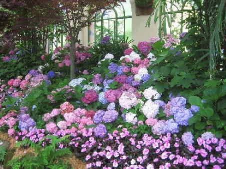 Conservatory im Fitzroy Garden.