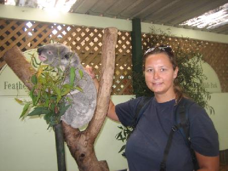 Koala und ich.